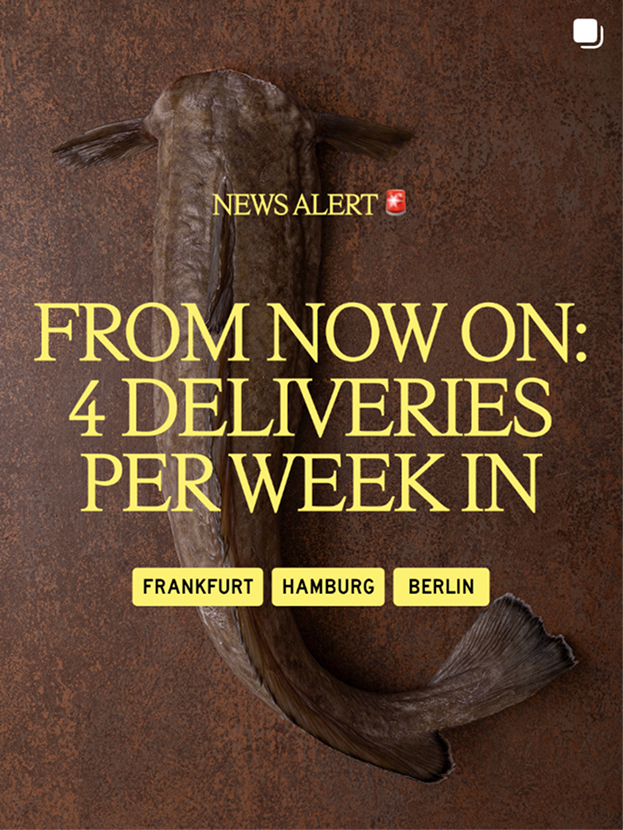 Saltz delivery announcement artwork