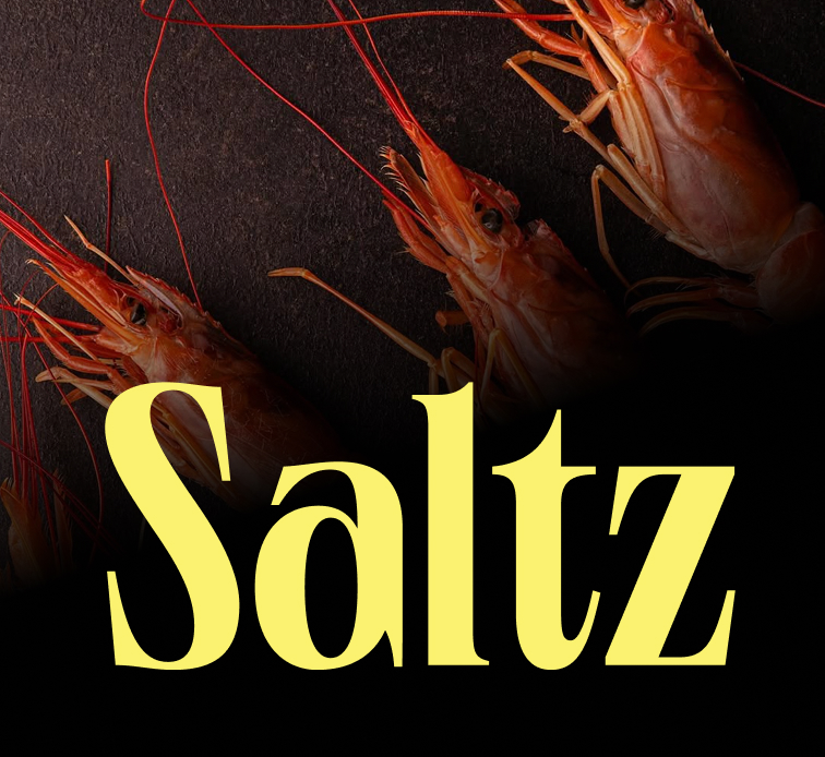Saltz case study logo card